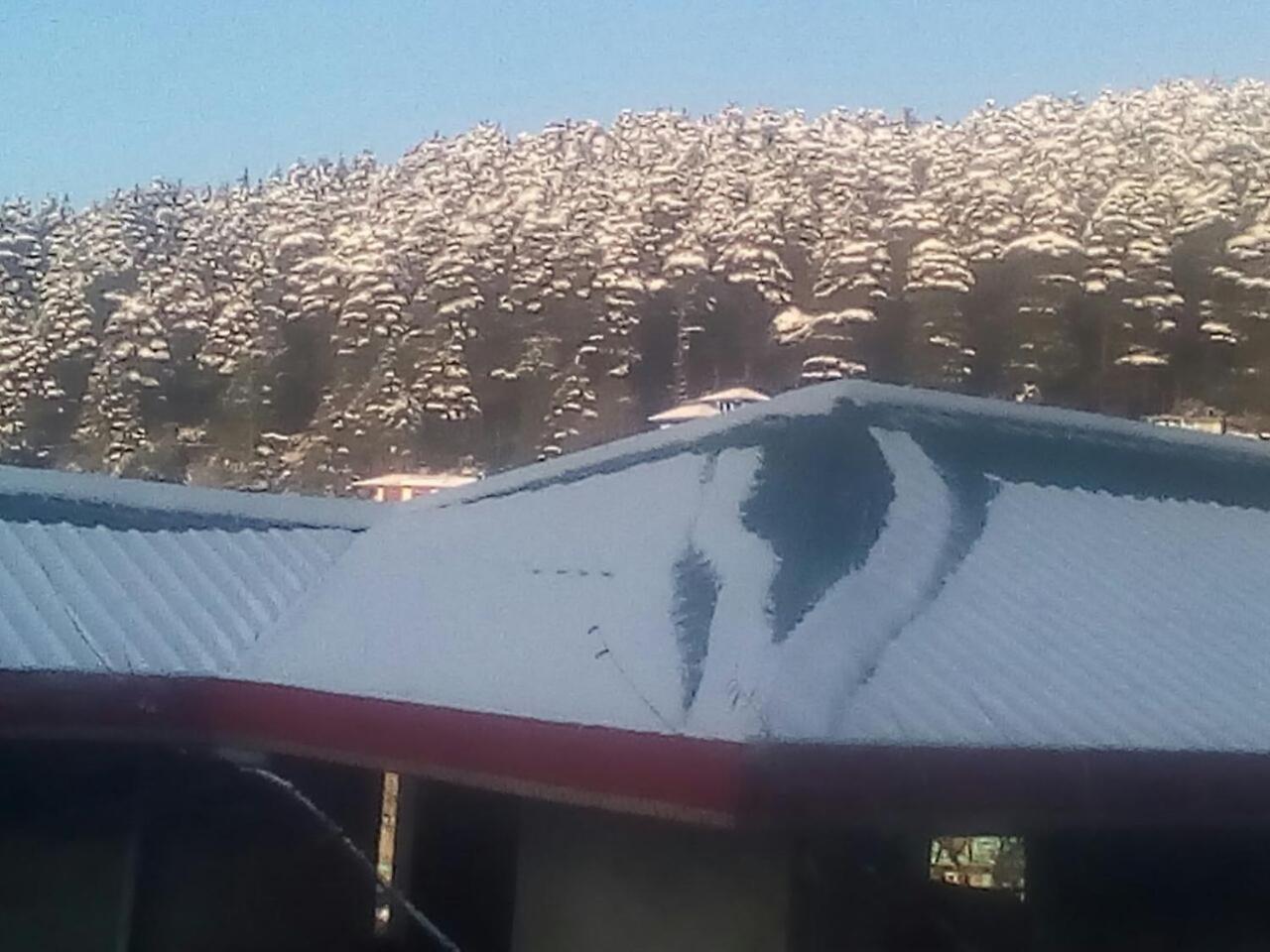 מלון דרמסאלה Mountain And Moon, Dharamkot מראה חיצוני תמונה